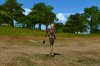 lineage-2-online-servers-july-2026.jpg