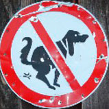 4ydo